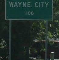 Wayne Illinois